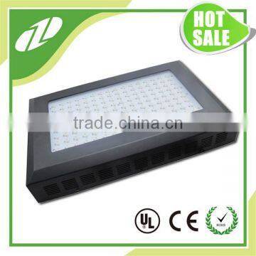 Best Led Grow Lights For Indoor Plants 300w Grow Light Led Cob For Orchid