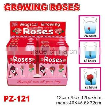 Growing Roses , Fruits and Vegetable