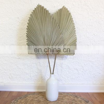 !00% Nature cheap in Bulk Palm Leaf Fan Wall Art Traditional Woven Decoration Best Price Wholesale
