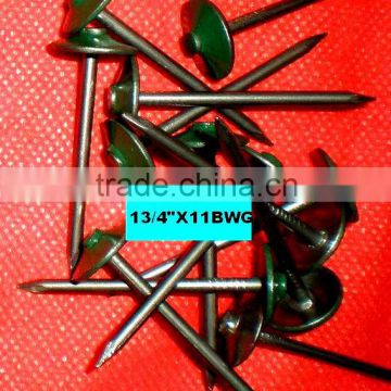 surface color galvanized roofing nails with umbrella head