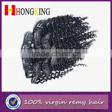 Hair Extension Remy Indian Quality Clip