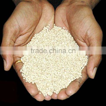 sesame seed processing machinery