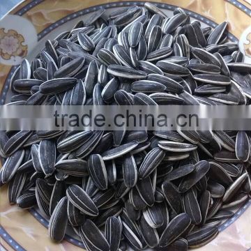 sunflower seeds for human consumption