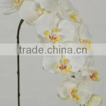 seller competitive price sourcing plastic orchid flower factory tongxin factory