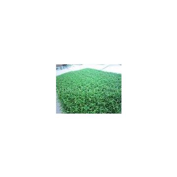 Nylon Fake Cricket Pitch Grass , Outdoor Artificial Grass Lawns