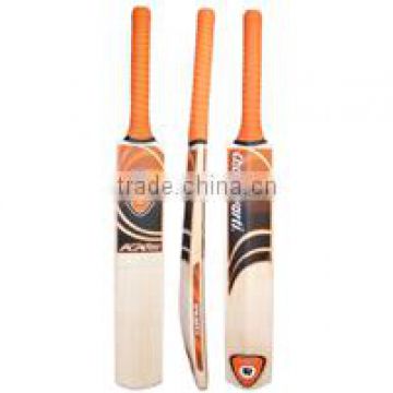 Professional Kashmir Willow Cricket Bat