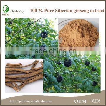 Natural Herb Siberian Ginseng Extract Powder                        
                                                Quality Choice