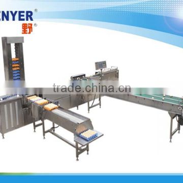 zenyer hot sale electronic egg grading packing /cleaning machine