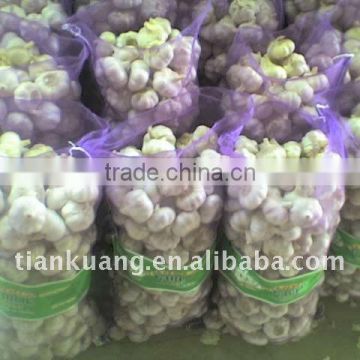 high quality Chinese normal garlic