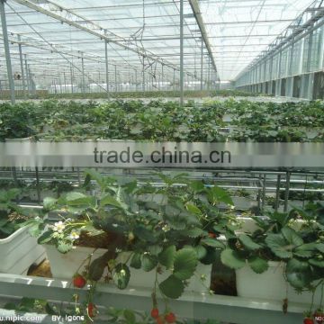 Low Cost Tunnel Plastic Greenhouse For Sale