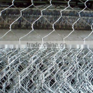 hot sale! electro galvanized hexagonal wire mesh supplier