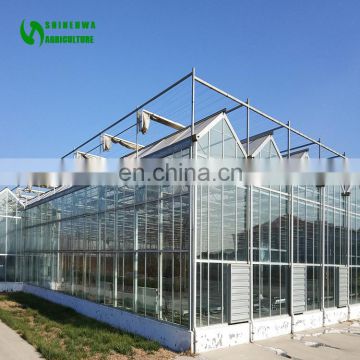 Galvanized Steel Structure Glass Cover Used Commercial Greenhouses