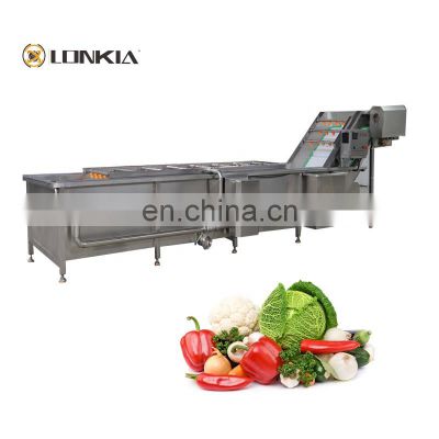 Factory Supply Directly Fruit Leafy Vegetable Washing Cleaning Machine