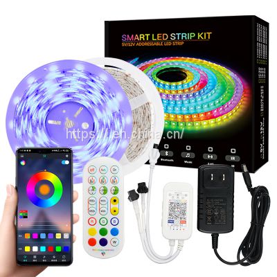 Hot selling Smart Voice Control Flexible RGB Strip IP65 12-24v With Remote Control