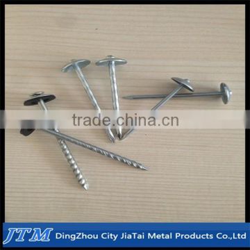 High quality Electro Galvanized Umbrella Roofing Nails