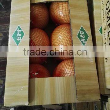 2015 New Crop Fresh Honey Pomelo