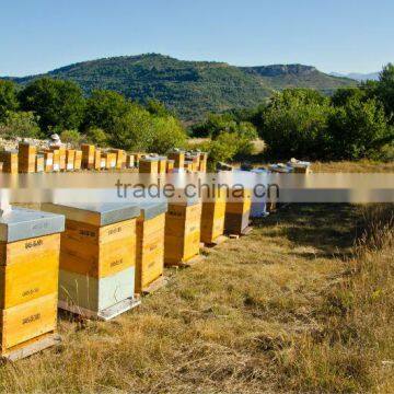 two levels beekeeping equipment beehive offerd by manufacturer