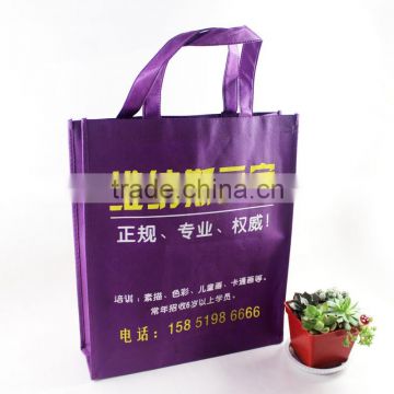 Customized Low Price Laminated Non Woven Bag for Shopping