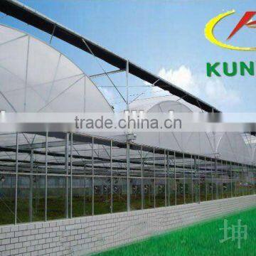 Multi-span plastic film Greenhouse/polylefin film Greenhouse