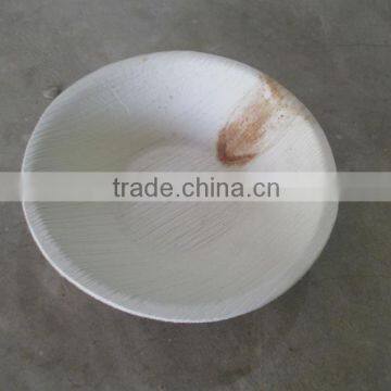 High Level Quality of Areca Cups in Singapore / Malaysia / Kuwait