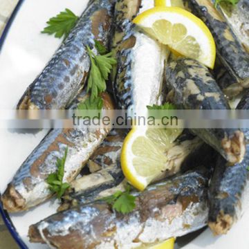 high quality canned mackerel in natural oil