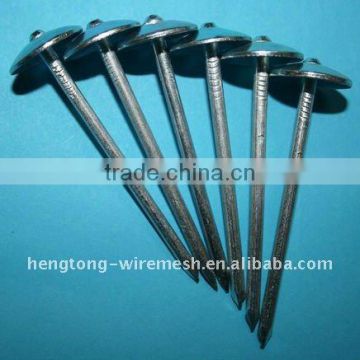Hot!!! Heng Tong 1.5'' to 2.5'' Galvanised Roofing Nails/Fastners
