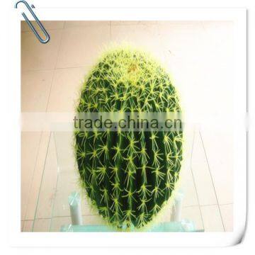 SJM091037 High quality 100% natural hoodia decoration artificial cactus P.E.