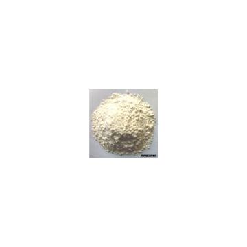 Sell Rice Protein Concentrate