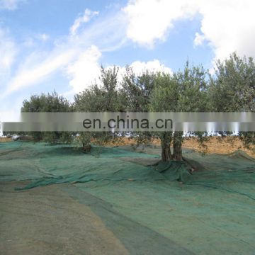 100% New HDPE olive harvest plastic net for Bulgaria Market