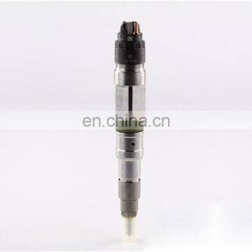 Common Rail Injector 0445120217 man