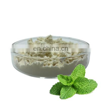 Pure Natural Plant Extracts Peppermint Powder Organic Mint Extract Peppermint Extract