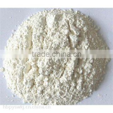 Dehydrated Garlic Powder With Low Price