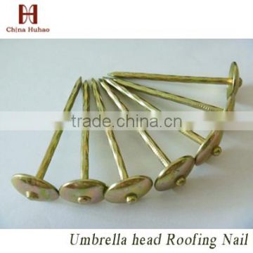 Supply high quality yellow zinc roofing nails
