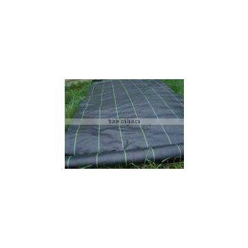 Supply PP anti-grass woven fabric used in park