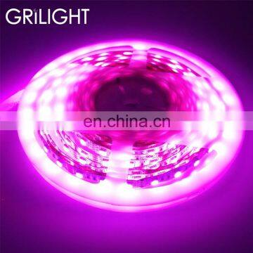 30led and 60led 5050 RGB 12V 24V UL listed led strip