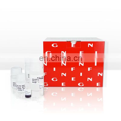 Medical Equipment Nucleic Acid Kits Extraction Reagent With Proteinase K