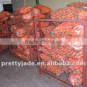 new crop chinese fresh carrot