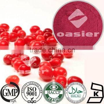 Natural High Quality Cranberry Extract proanthocyanidins 1%-50% /Cranberry Powder