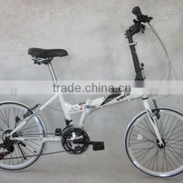 20 Inch Folding Bike 21 Speed with EF51 Shifter