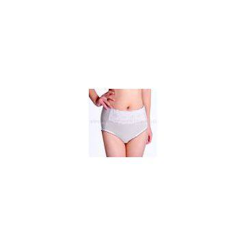 Young Ladies Briefs Underwears