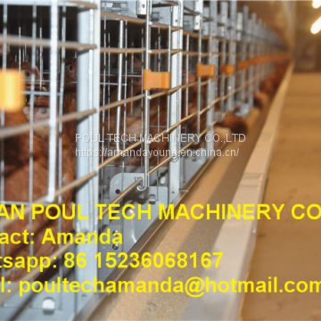 South Africa Chicken Farming Full Automatic H Frame Layer Cage & Chicken Cage & Hen Coop & Laying Hen Cage in Poultry House & Chicken Shed