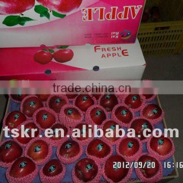 famous fruit red apple fruit price