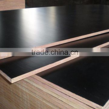 18mm black brown film faced plywood / construction plywood