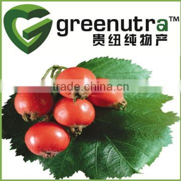 Rose Hips Extract Flavone