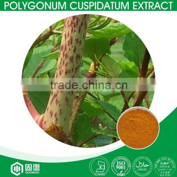 Antioxidant supplement powder polygonum cuspidatum extract emodin