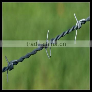 barbed wire / concertina barbed wire