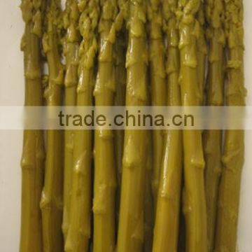 Green asparagus spears in tins and in jars