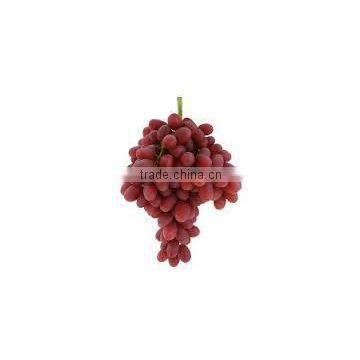 Grapes crops 2014