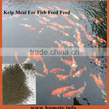 distribution high protein animal feed grade kelp meal