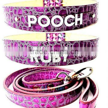 wholesale Dog collars Pet collar Cat collar and leash for slide alphabet letters